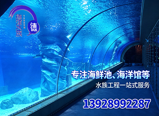 德洋肇庆线上分站